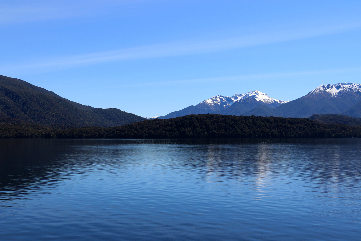 Le lac de Te Anau et… un goéland bien de chez nous !