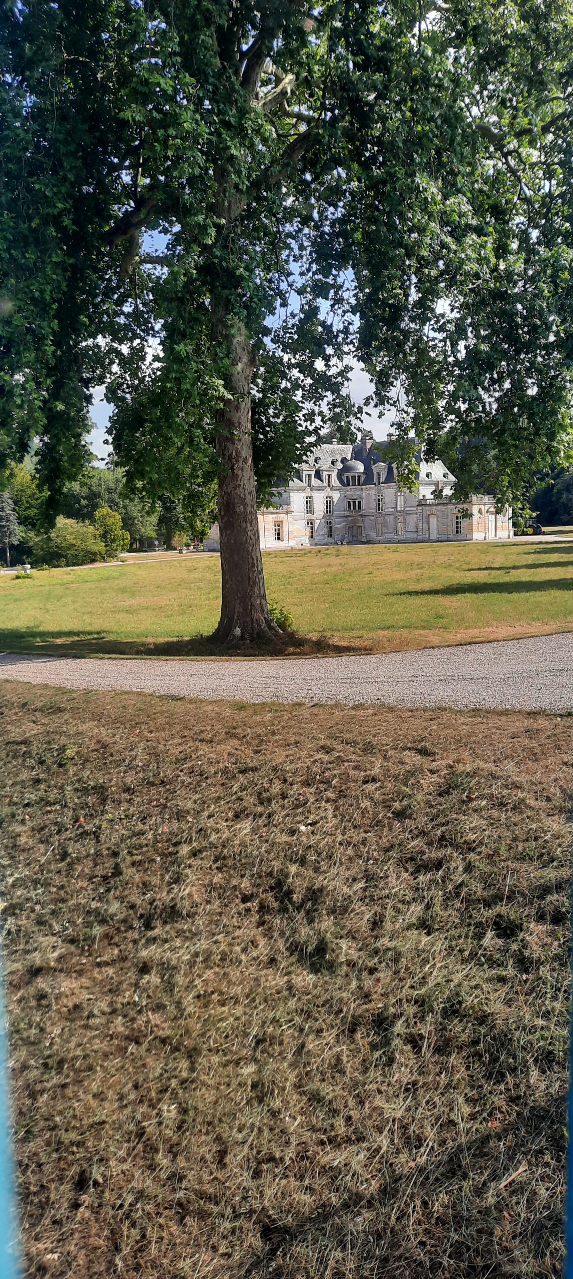 Une silfine 