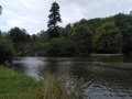 IMG_20230801_145345