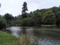 IMG_20230801_1453482