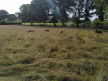 IMG_20230802_101747