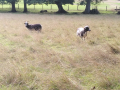 IMG_20230802_101753