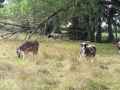 IMG_20230802_101807