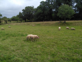 IMG_20230802_133031