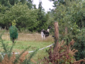 IMG_20230803_121251