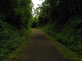 IMG_20230803_135525