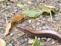 IMG_20230804_115040