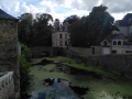 IMG_20230729_185320