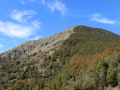 IMG_0343