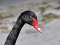 IMG_0847