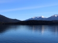 Le lac de Te Anau et… un goéland bien de chez nous !