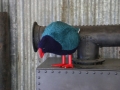 Ça, c'est le Takahe. C'est très rare. Celui-ci est un faux. J'vous jure.