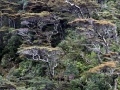 IMG_9003