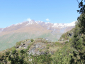 IMG_9518