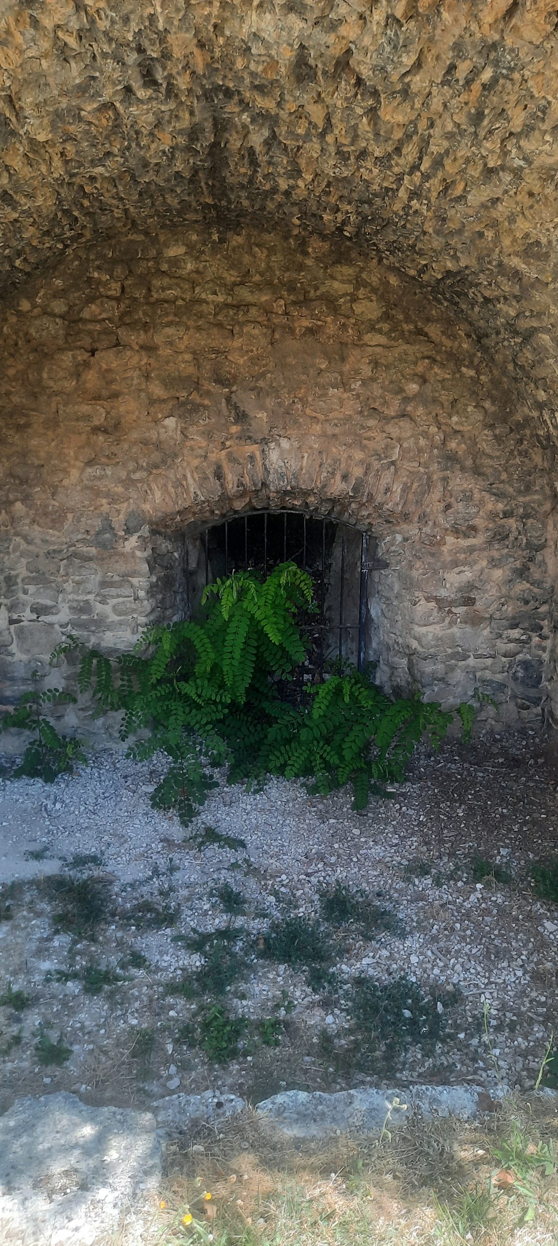Une silfine 