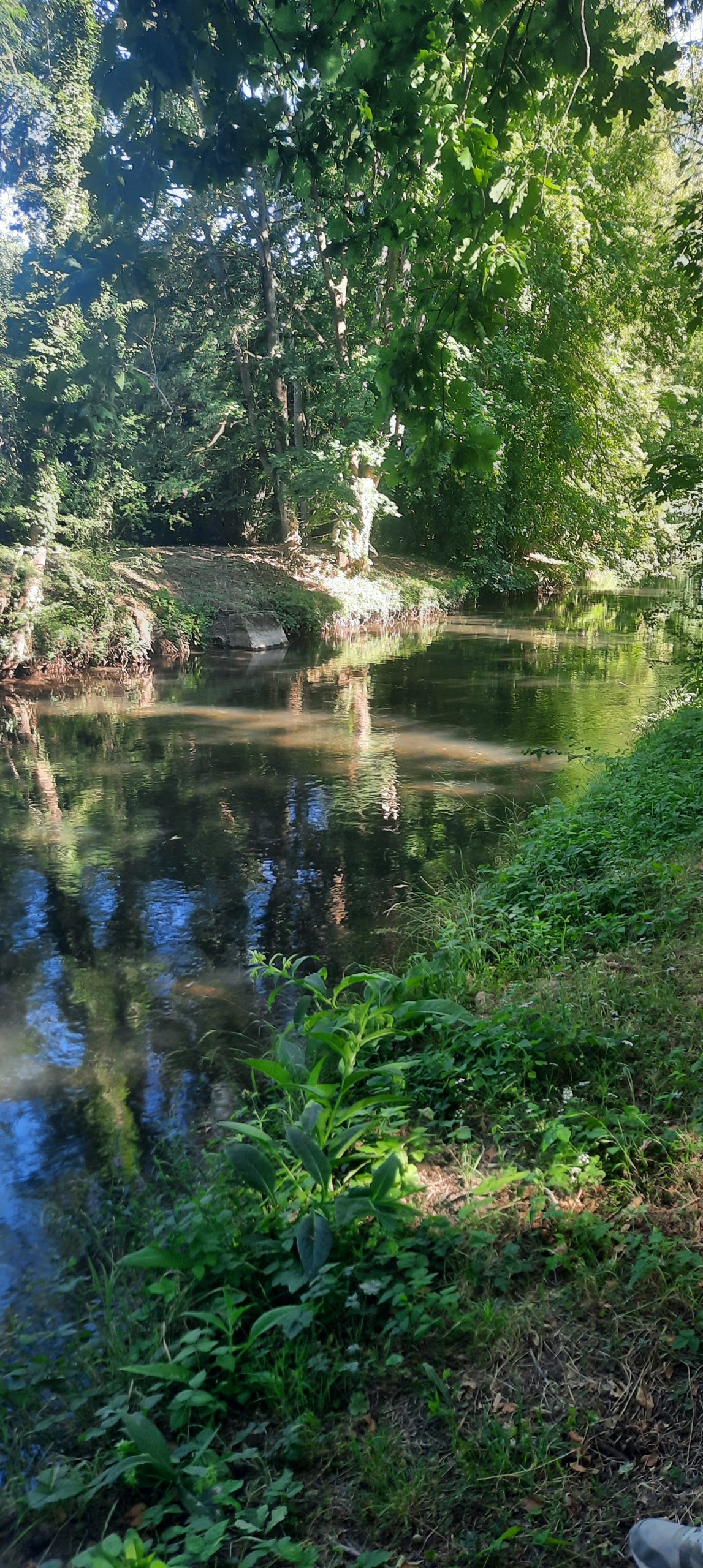 Une silfine 