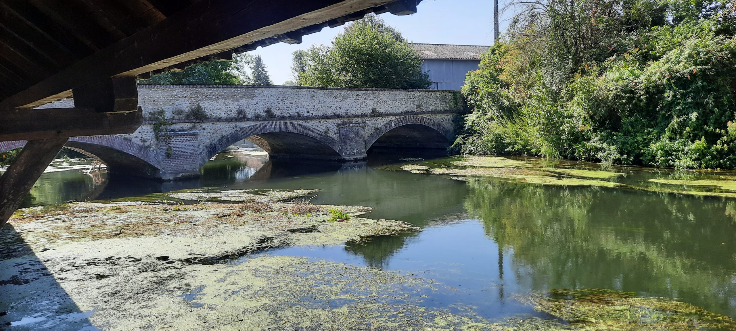 Une silfine 
