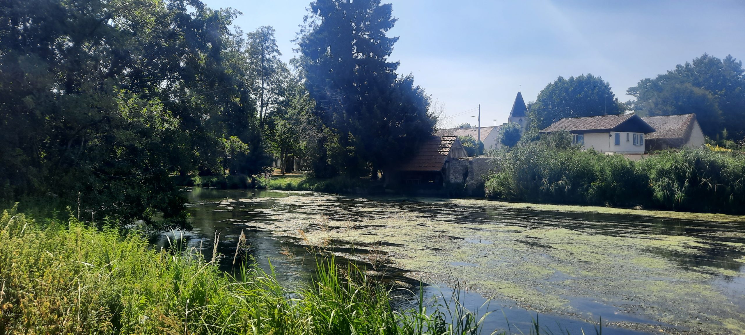 Une silfine 