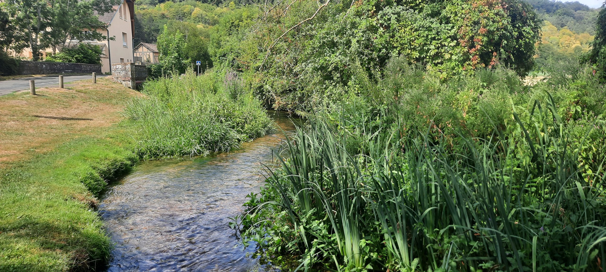 Une silfine 