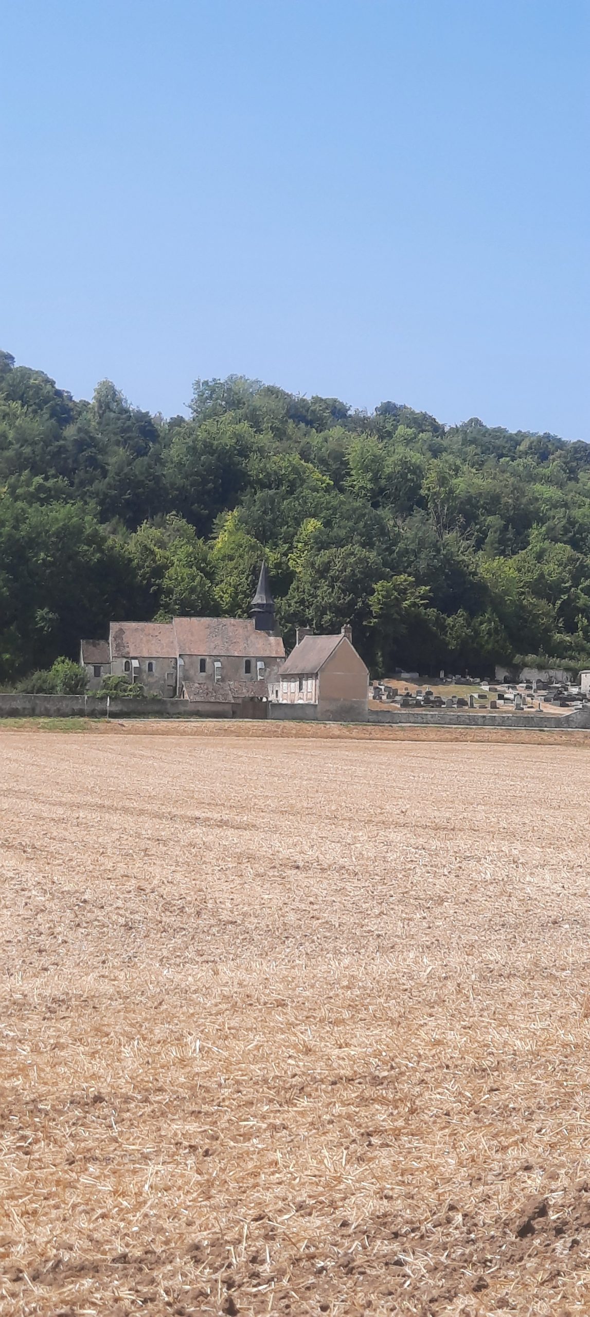 Une silfine 