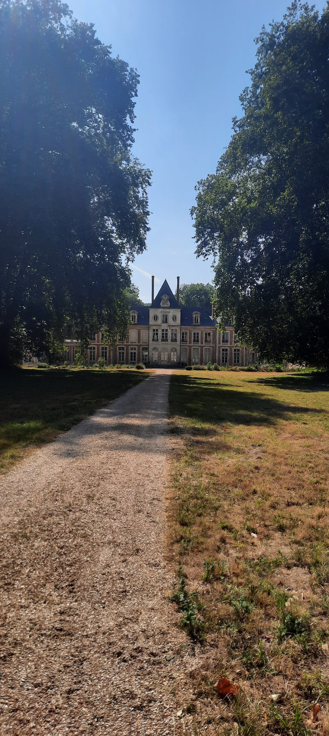 Une silfine 
