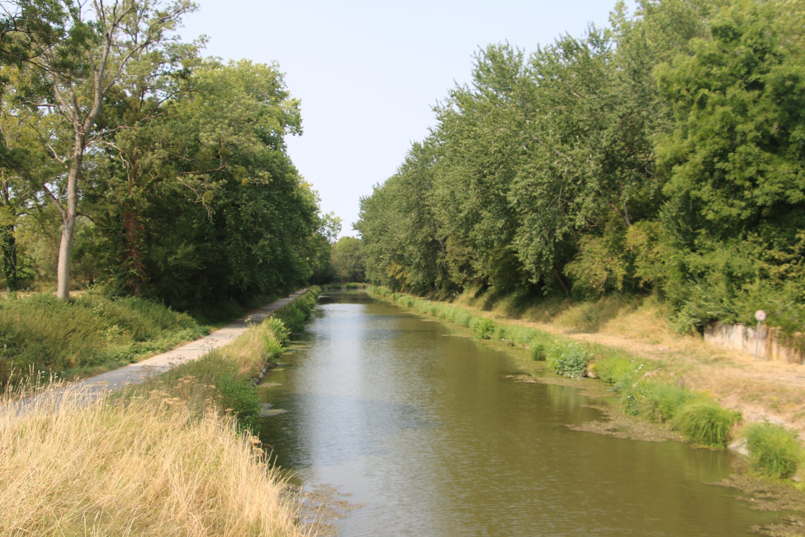 Une silfine 