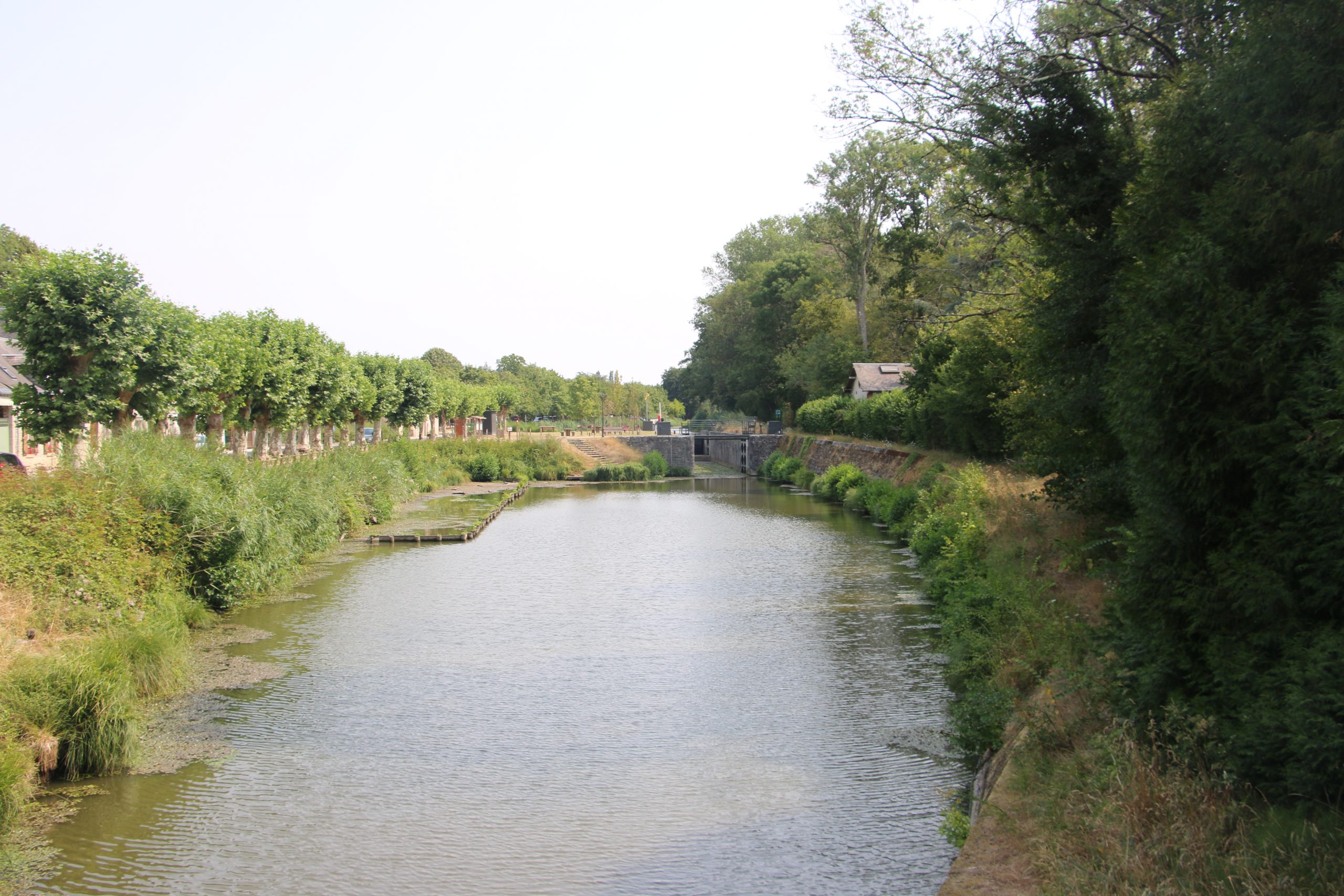 Une silfine 