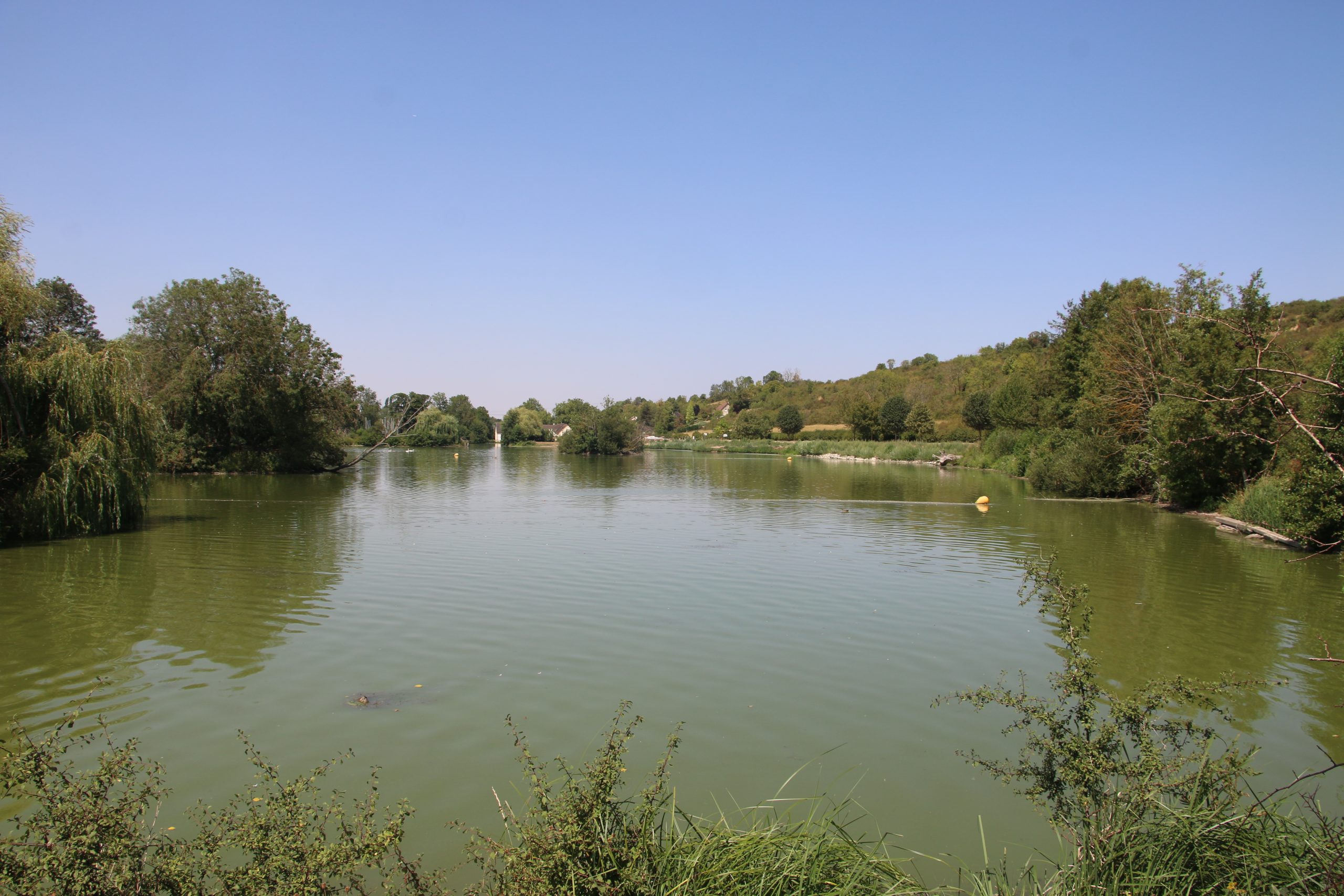 Une silfine 