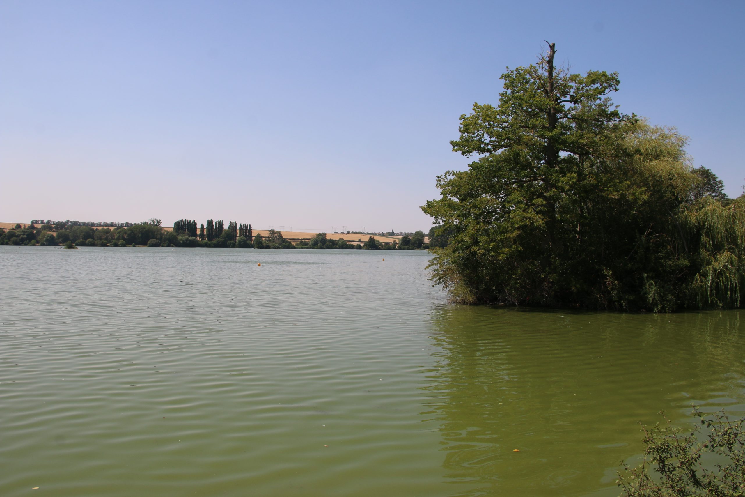 Une silfine 