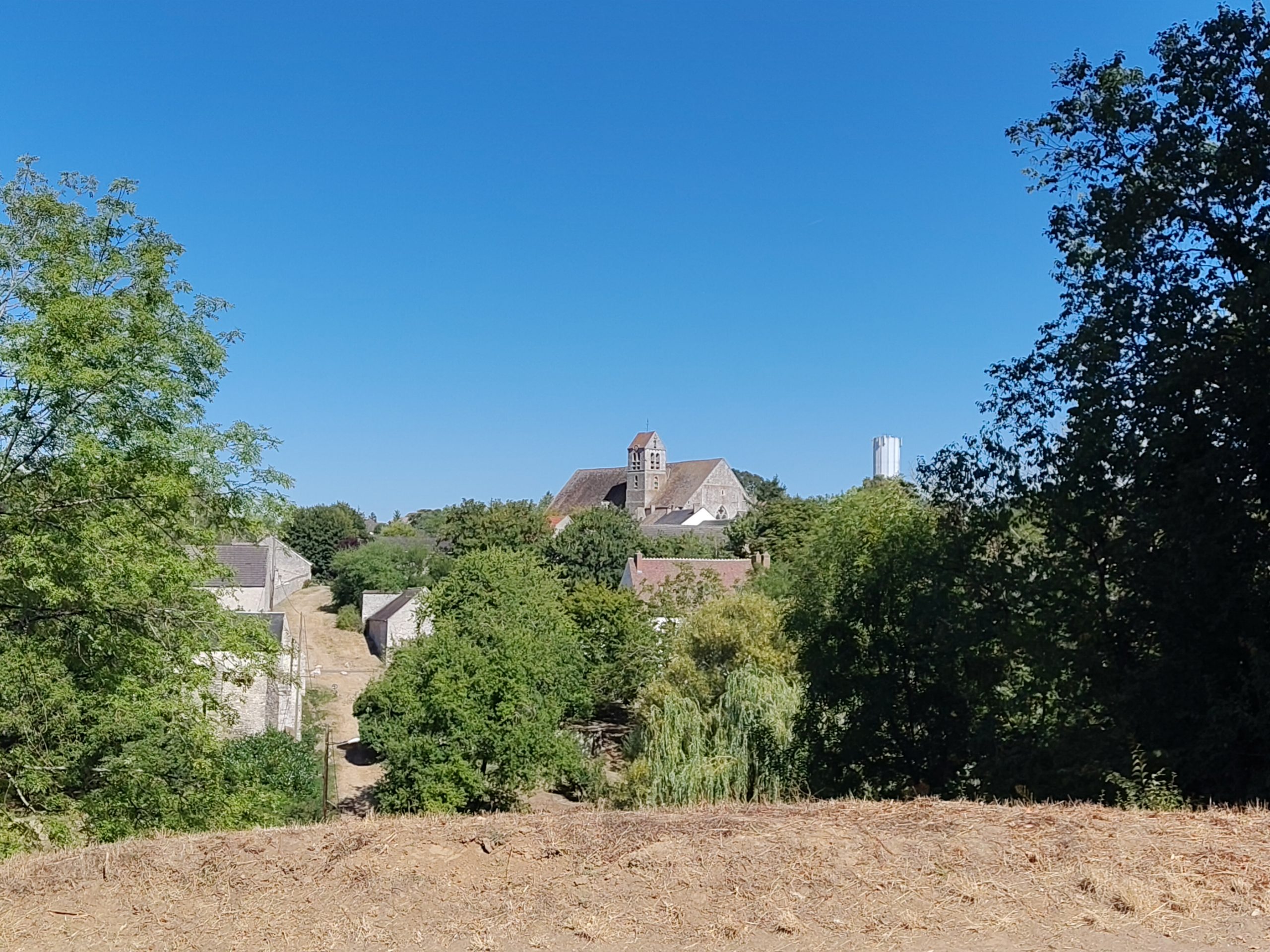 Une silfine 