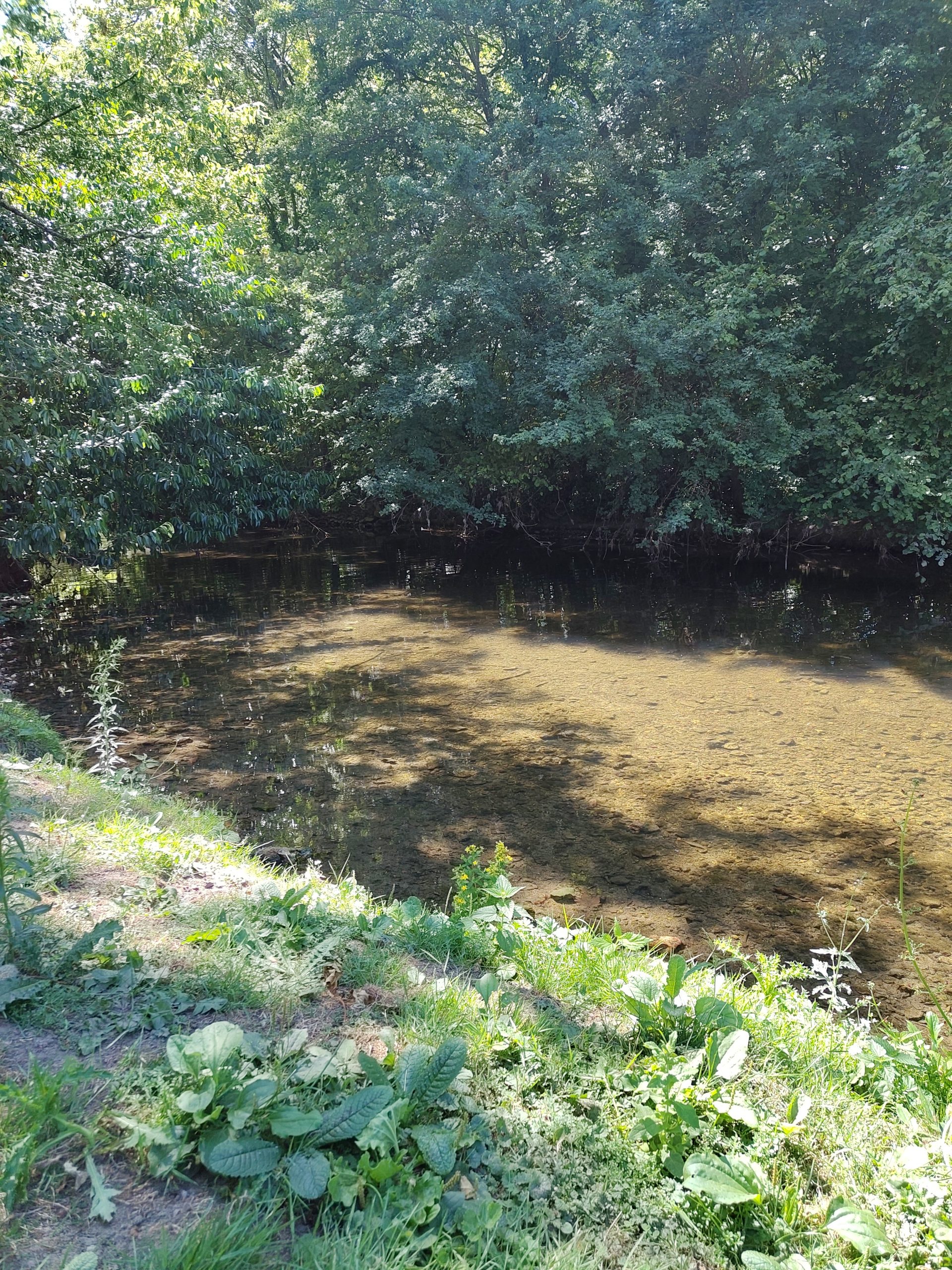 Une silfine 