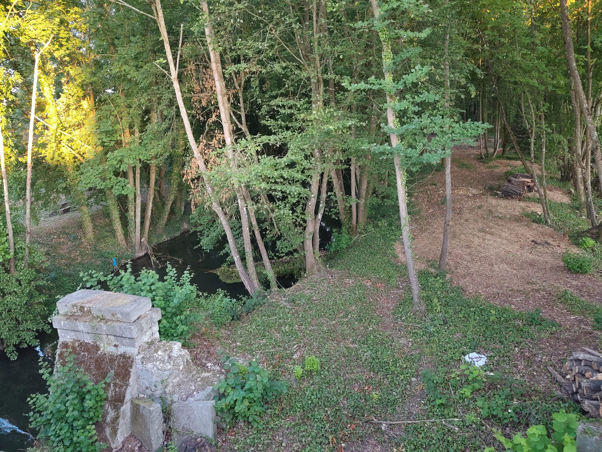 Une silfine 